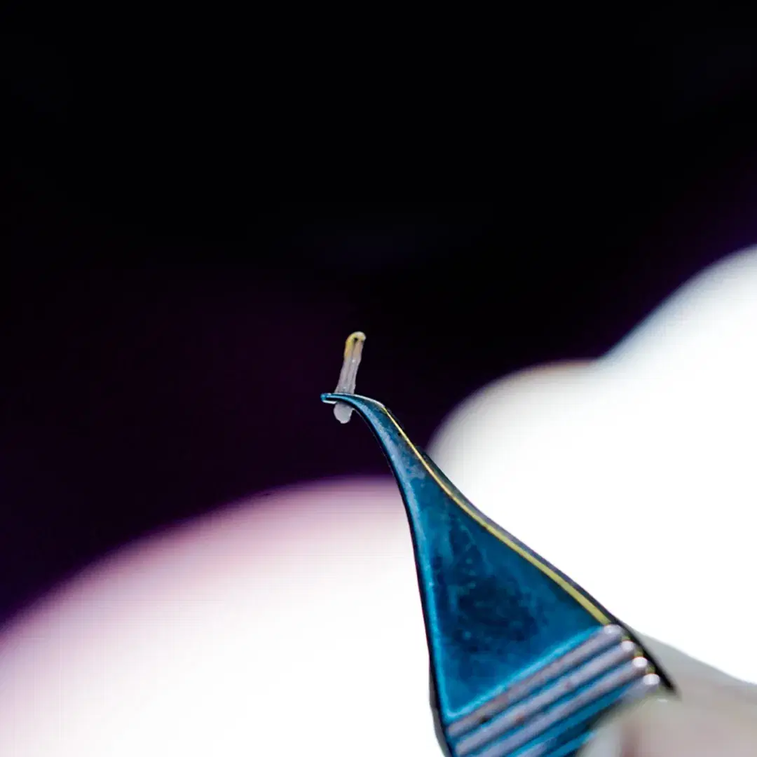 <h3><span style="color: rgb(247, 248, 248);">Hair Follicle Extraction</span></h3><p><span style="color: rgb(74, 78, 90);">&nbsp;</span></p>