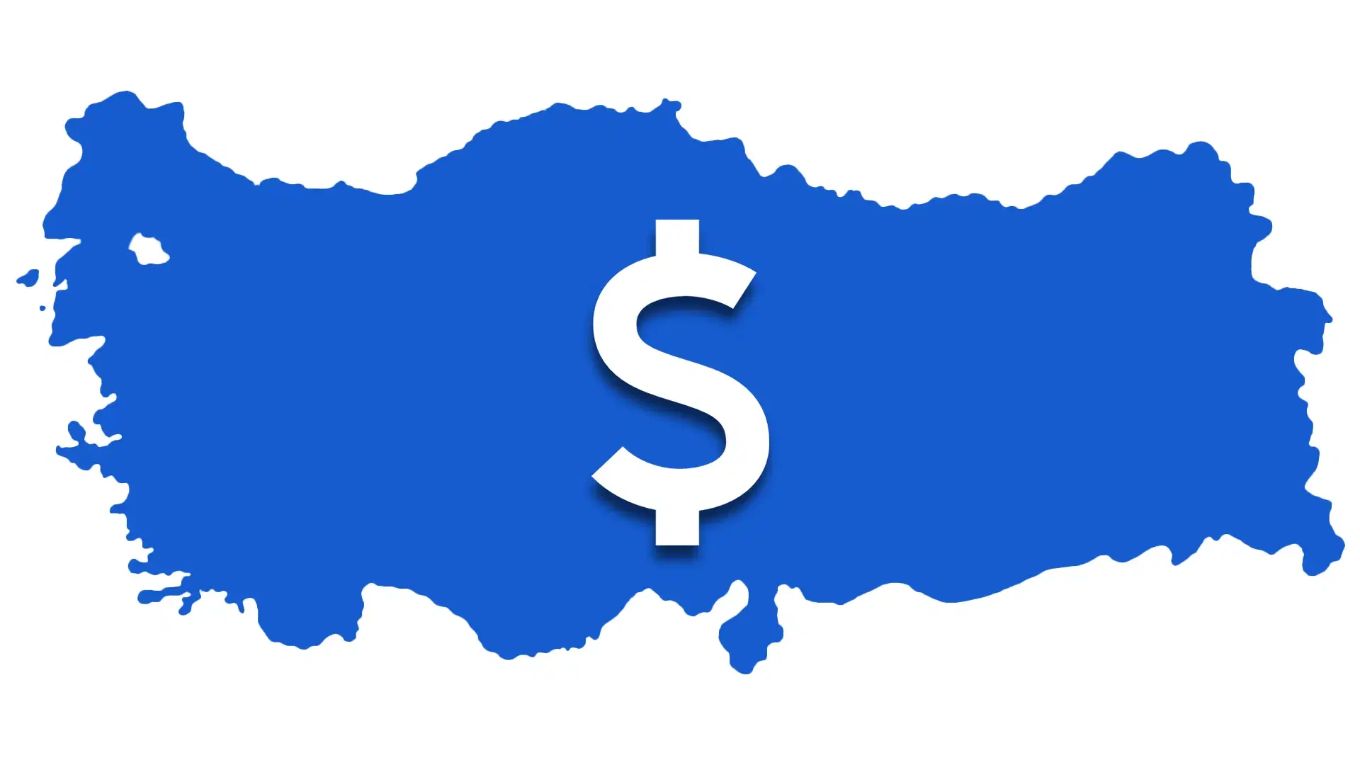 Why Is DHI Transplant More Affordable in Turkey?